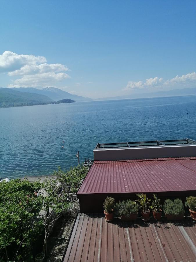 Hotel Orhidea House Ohrid Esterno foto